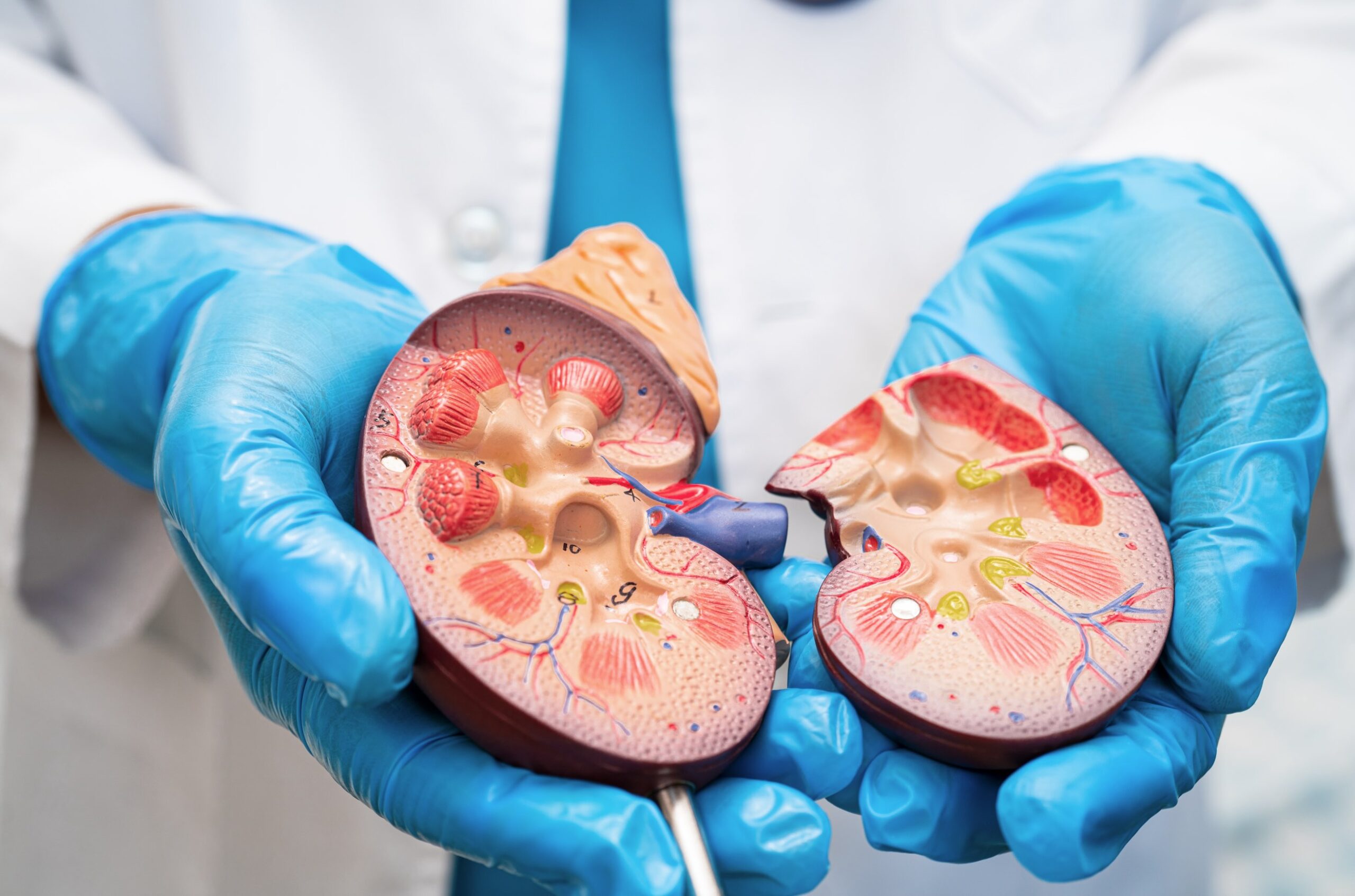 Screenshot urologo cosa fa